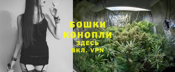 спайс Алексеевка